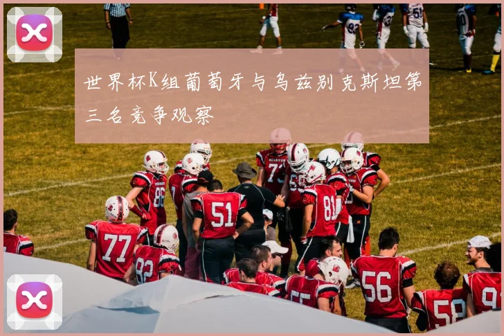 世界杯K组葡萄牙与乌兹别克斯坦第三名竞争观察