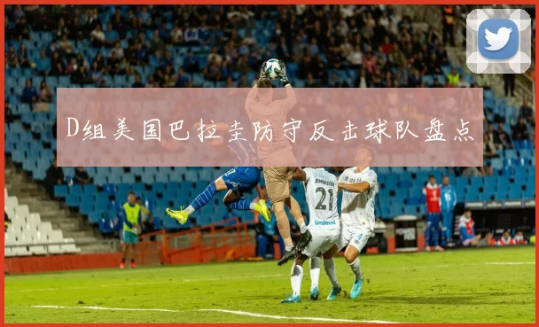 D组美国巴拉圭防守反击球队盘点