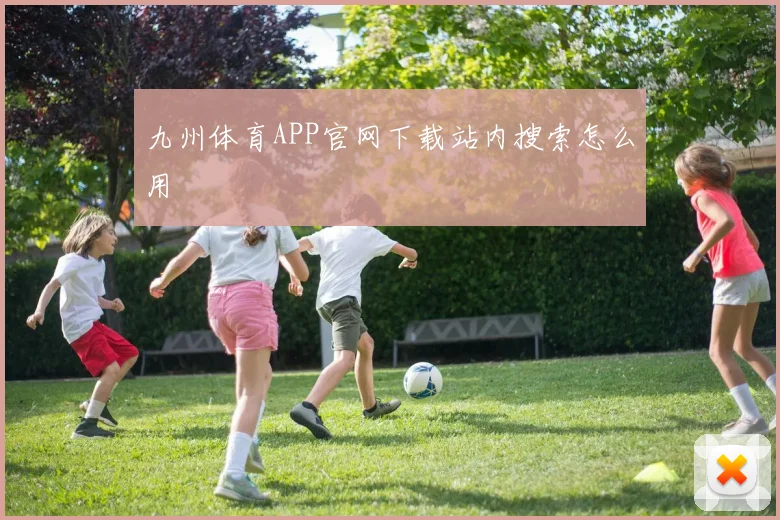 九州体育APP官网下载站内搜索怎么用