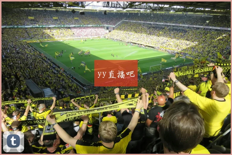 yy直播吧