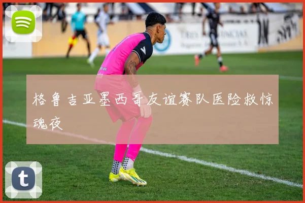 格鲁吉亚墨西哥友谊赛队医险救惊魂夜