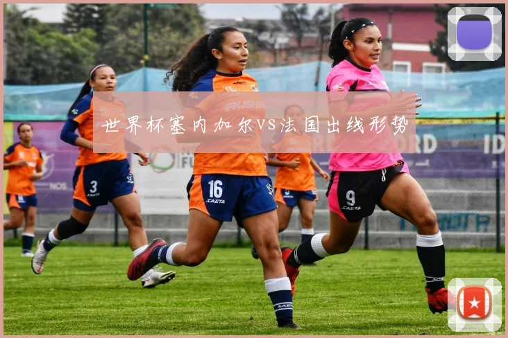 世界杯塞内加尔vs法国出线形势